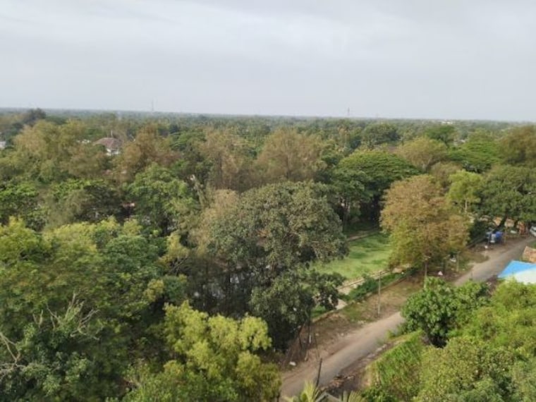alappuzha lighthouse-3